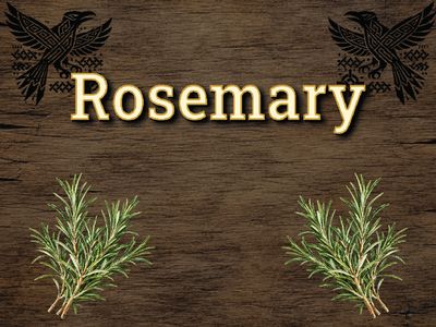Rosemary