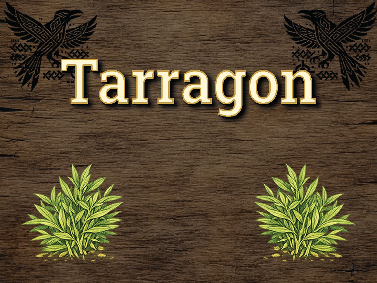 Tarragon