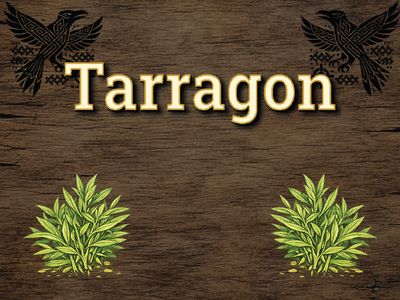 Tarragon