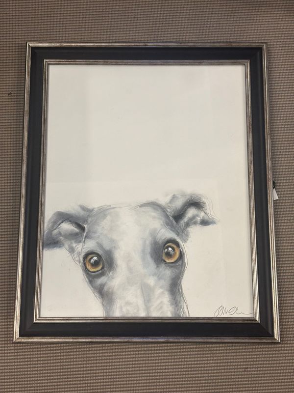 The Curious Whippet (Local Artist) 56x48cm