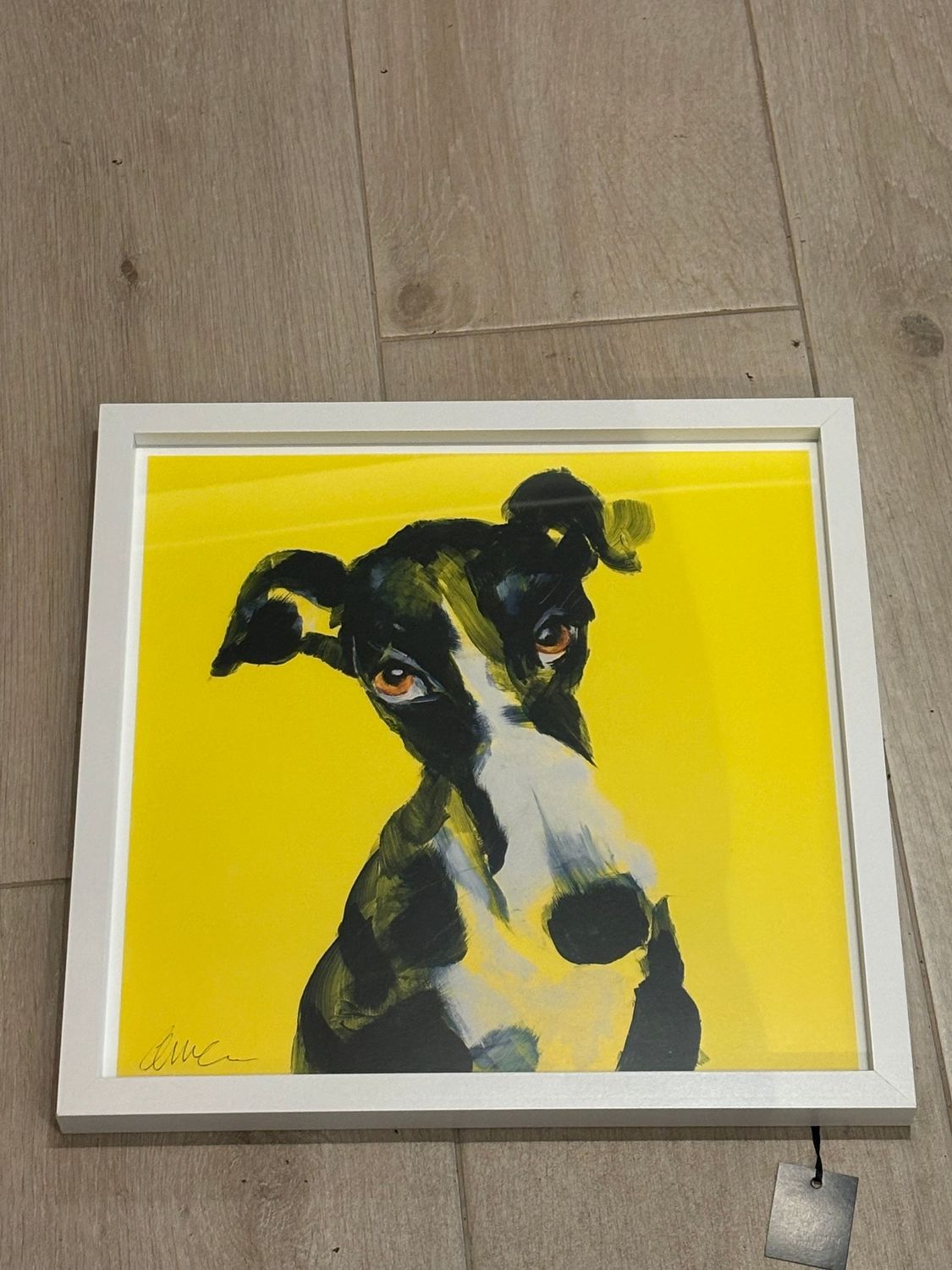 Lurcher - Yellow (Local Artist) 43x43cm
