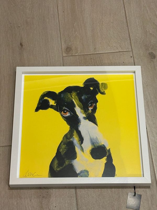 Lurcher - Yellow (Local Artist) 43x43cm