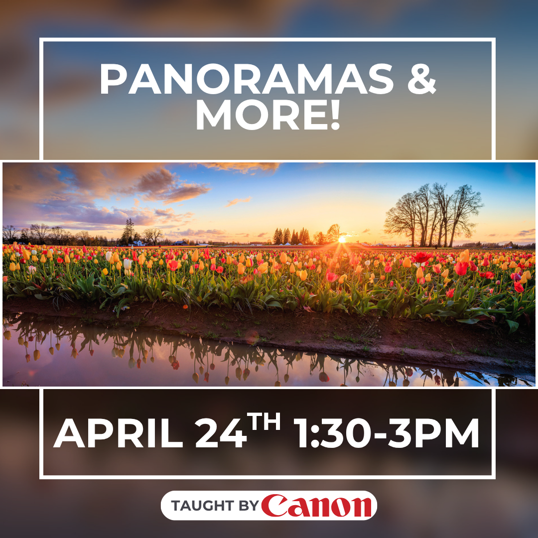 Panoramas and More with Canon