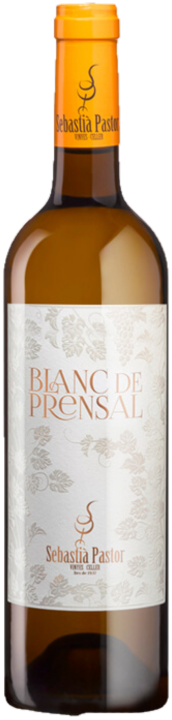 Sebastià Pastor Blanc de Premsal 2024