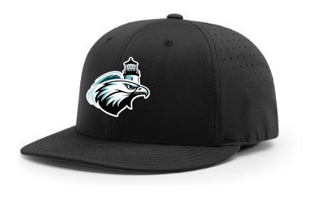 Seahawks Black FlexFit Hat New Logo