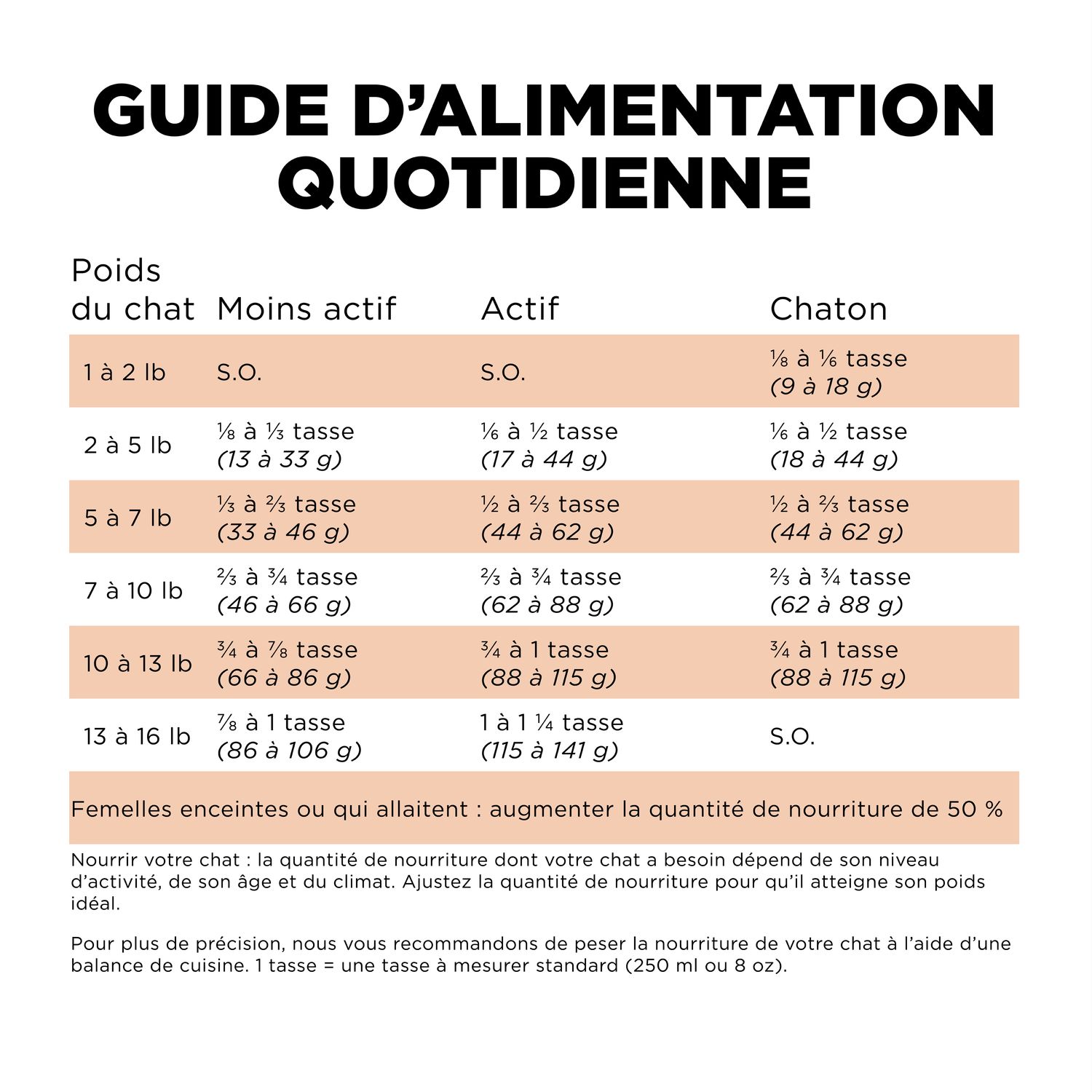 Recette au saumon pour chats Go! Solutions Peau et pelage