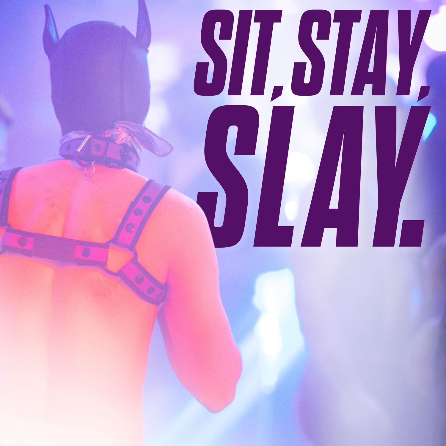 Sit, Stay, Slay. - Adelaide Sit, Stay, Slay. - Adelaide