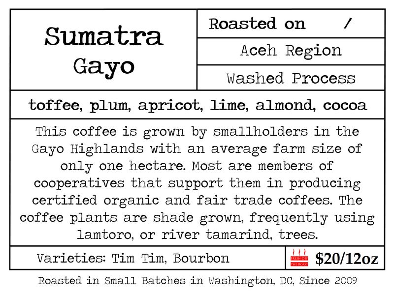 Sumatra Gayo Highlands