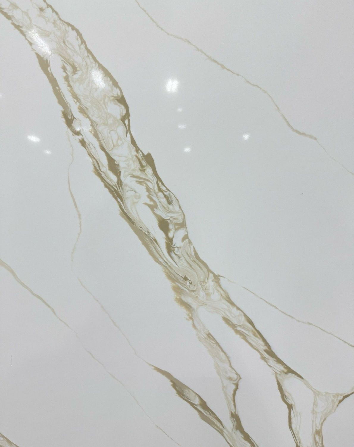 Calacatta Palomino Standard