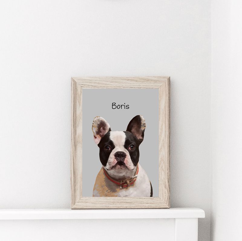 Pet Cartoon Portrait
