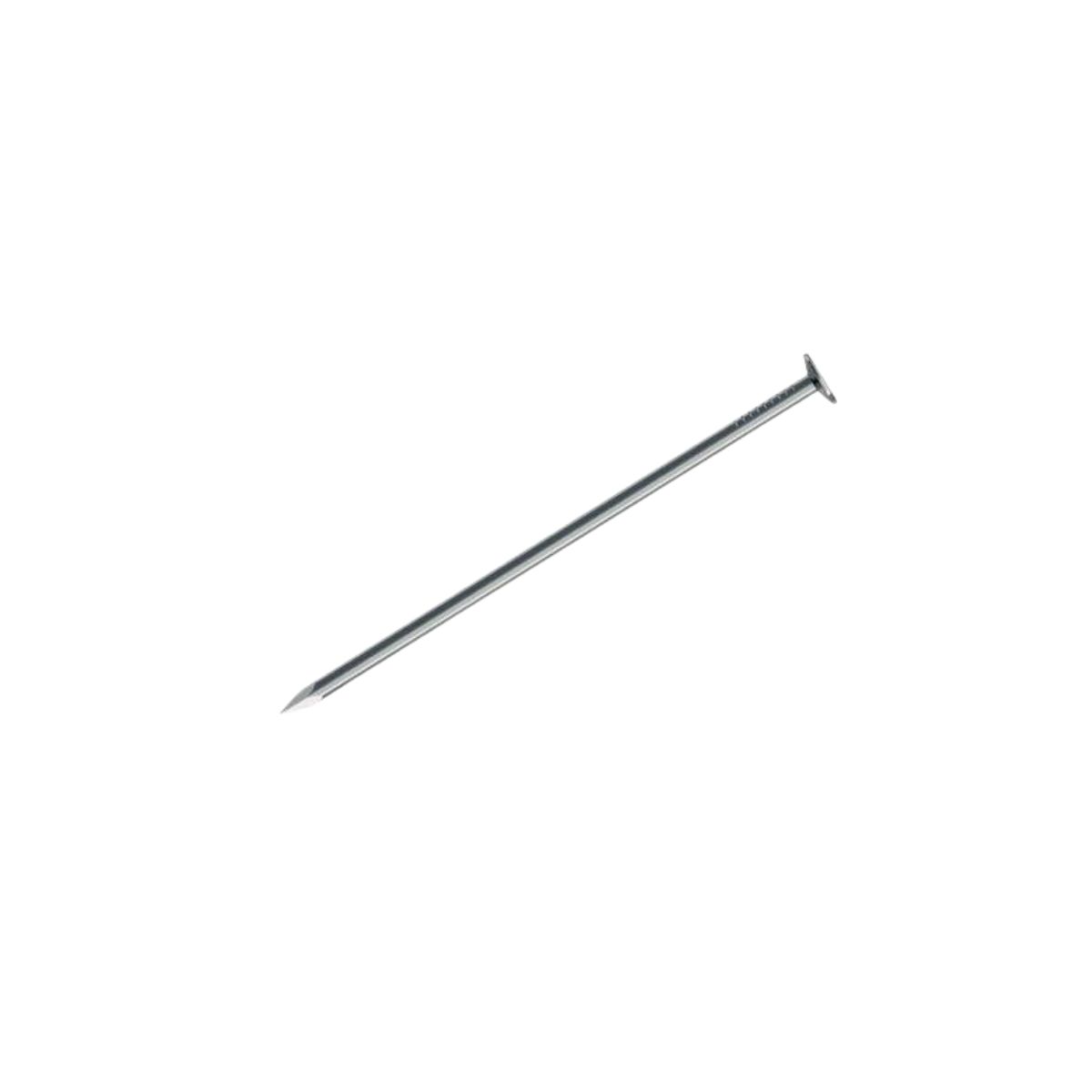 CHIODO TESTA PIANA CAVATORTA