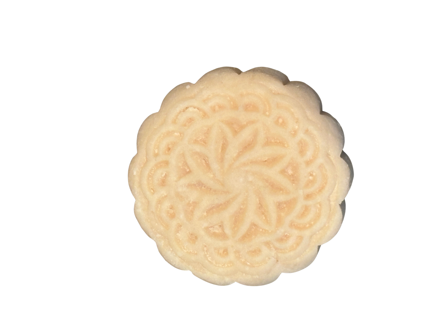Intensive Repair Shampoo Bar