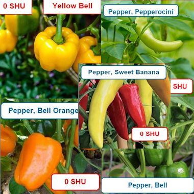 Pepper, Sweet Surprise