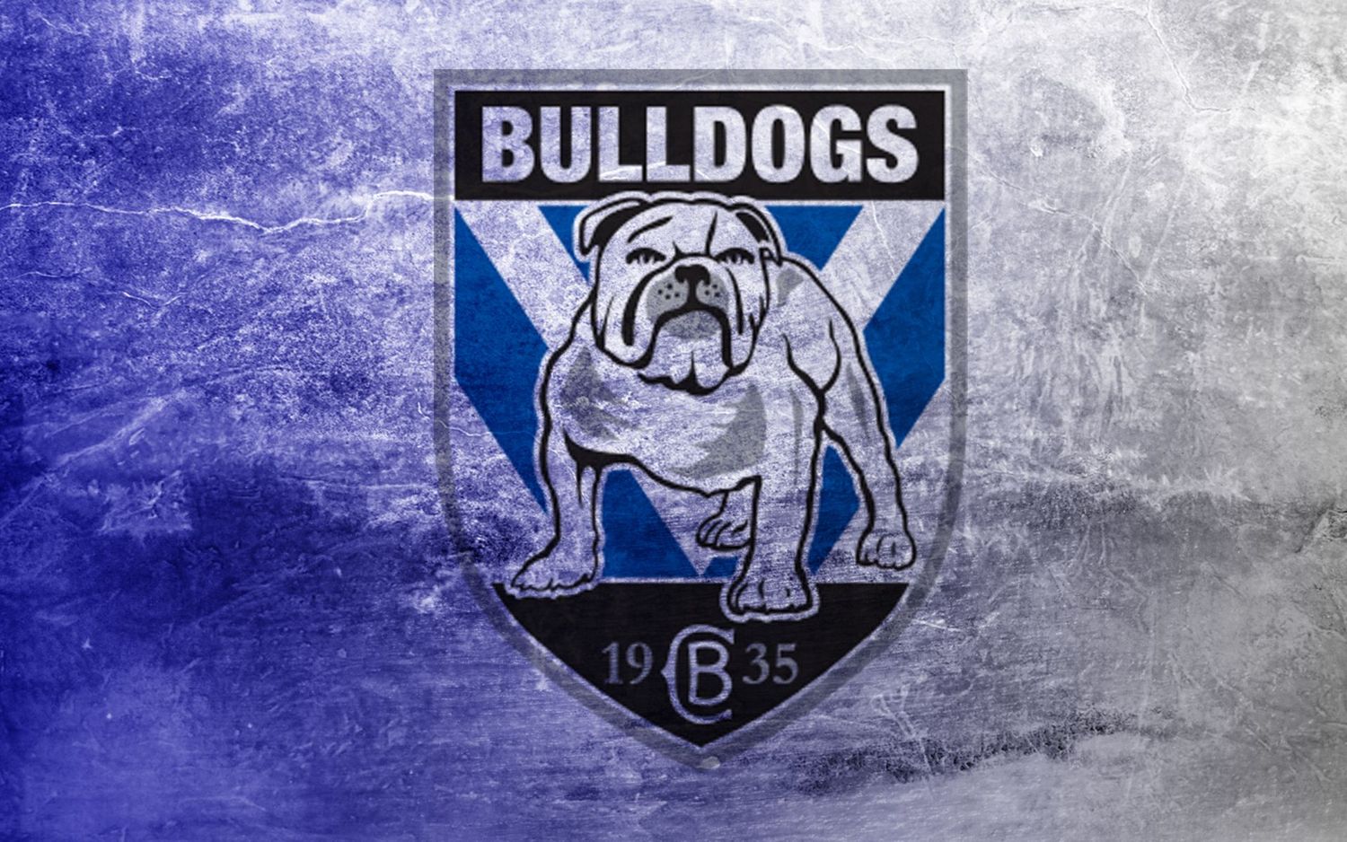 Bulldogs - Specially ordered for you. Delivery is approximately 4 - 6 weeks.