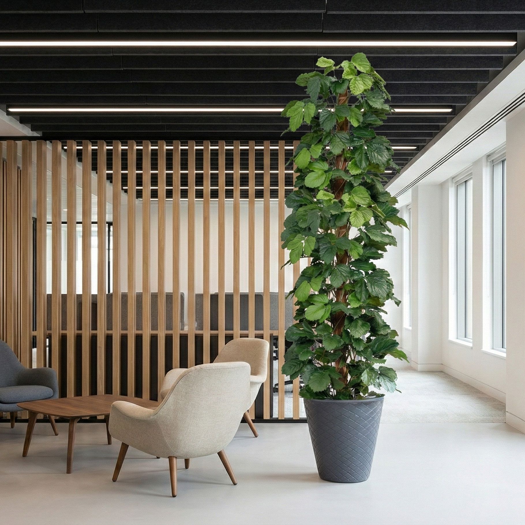 Large Artificial Tetrastigma Plant