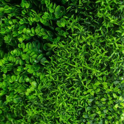 Artificial Greenwall  Fenwick  Mix 100cm x 100cm