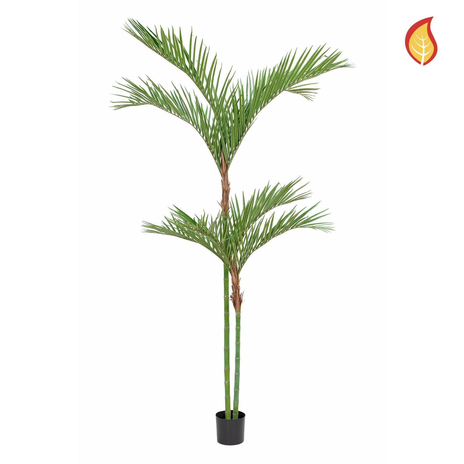 Large Palm Areca 260cm