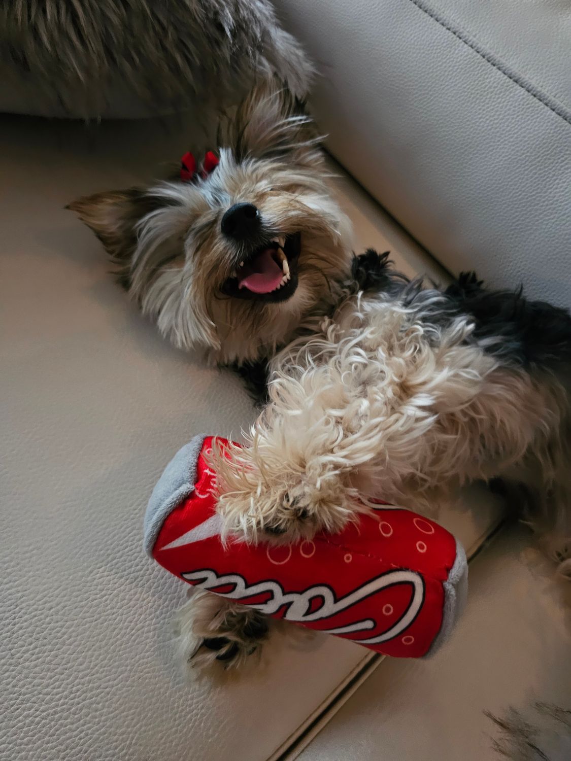 Pet Luxury Soft Squeaky Plush PLAYDRINK Dog Toy