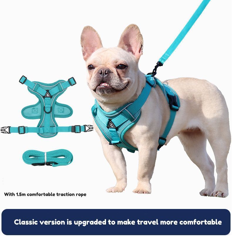 Pet Luxury Elegant Blue Cat and Dog Harness and Leash