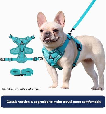 Pet Luxury Elegant Blue Cat and Dog Harness and Leash