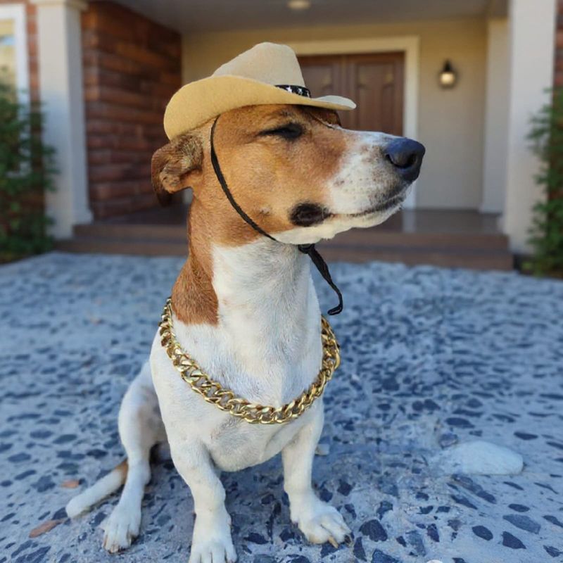 Pet Luxury Beige Cowboy Dog And Cat Fashion Hat