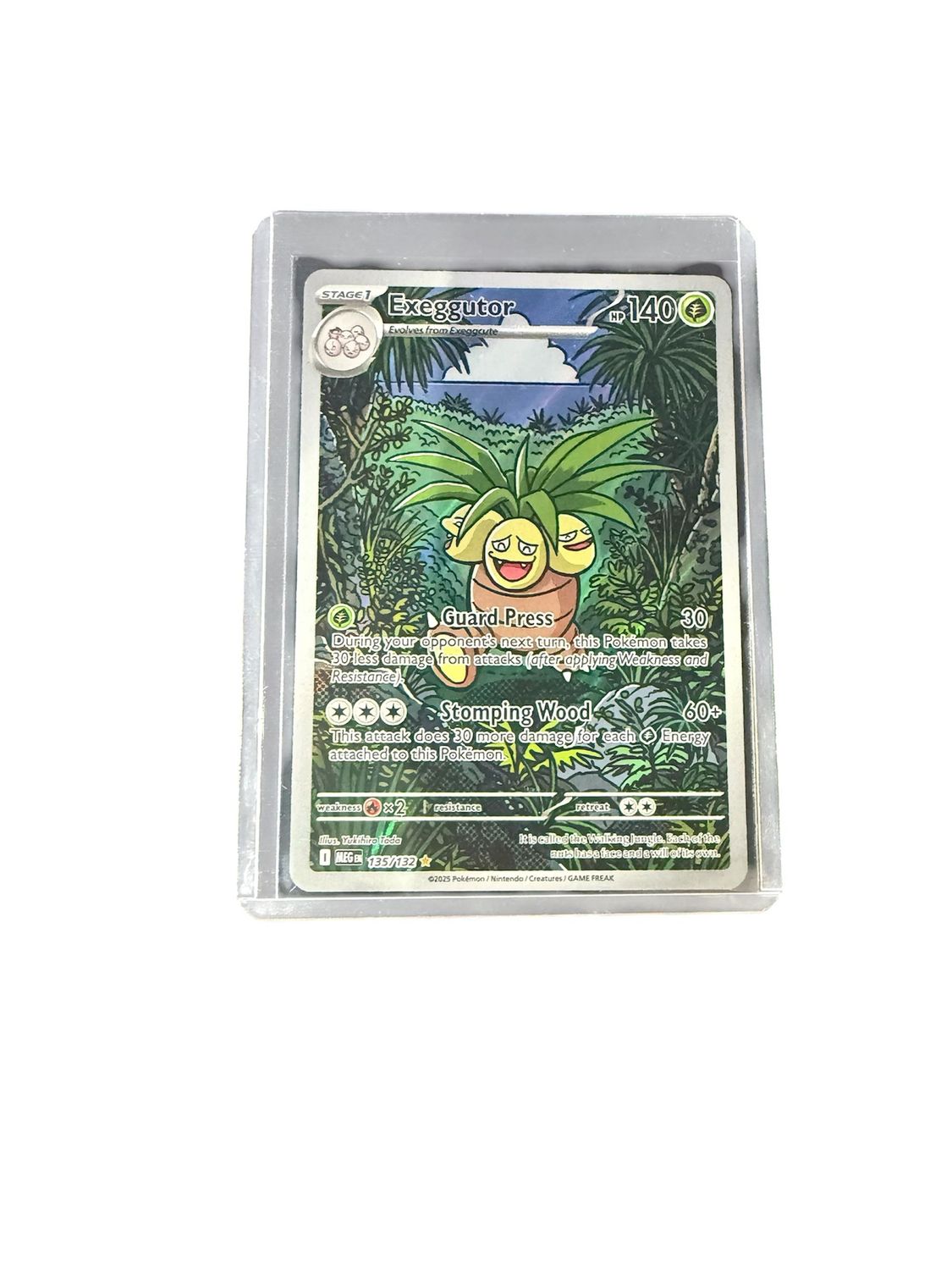 Exegutor 135/132