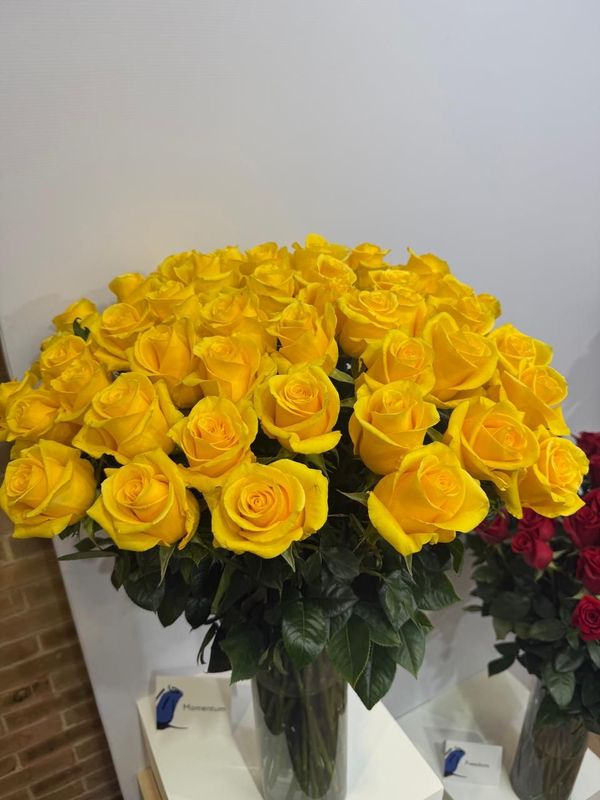 Rosas amarillas por docena