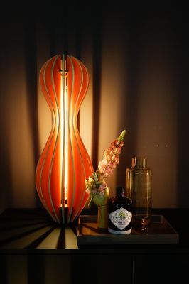 Steh - und Hängeleuchte Donna