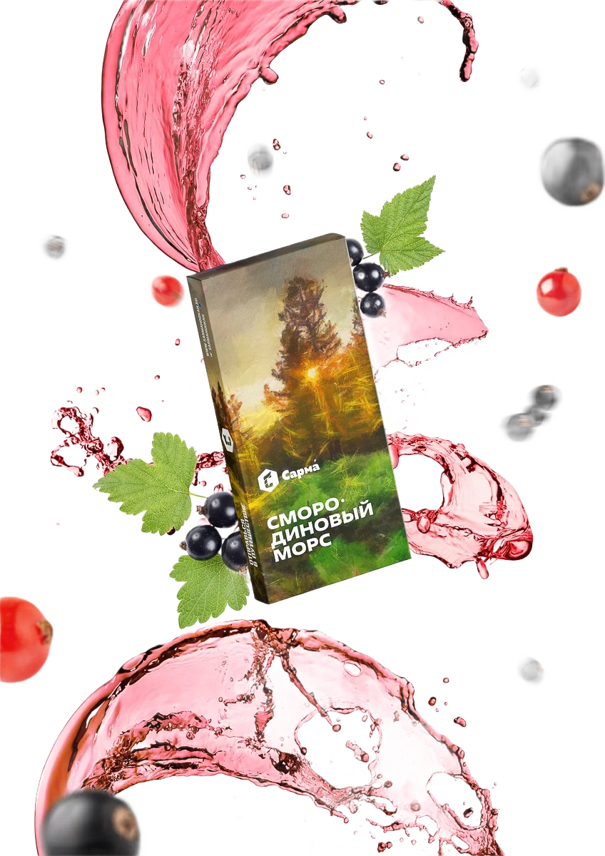 Sarma Currant Juice 100G