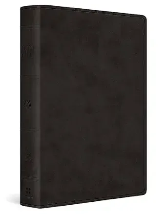 ESV Giant Print Value Personal Size Bible-Black Trutone