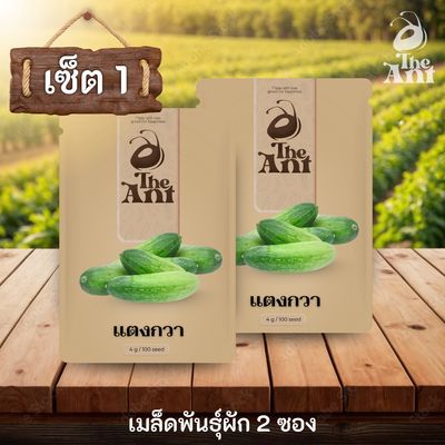 ( ซื้อ 1 แถม 1 ) เมล็ดพันธุ์แตงกวา