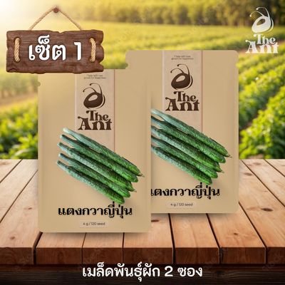 ( ซื้อ 1 แถม 1 ) เมล็ดพันธุ์แตงกวาญี่ปุ่น