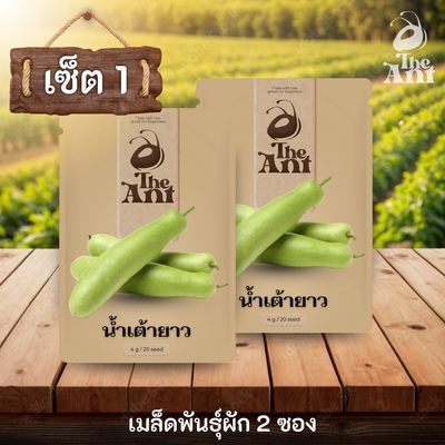 ( ซื้อ 1 แถม 1 ) เมล็ดพันธุ์น้ำเต้ายาว