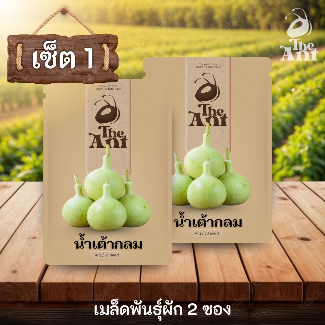 ( ซื้อ 1 แถม 1 ) เมล็ดพันธุ์น้ำเต้ากลม