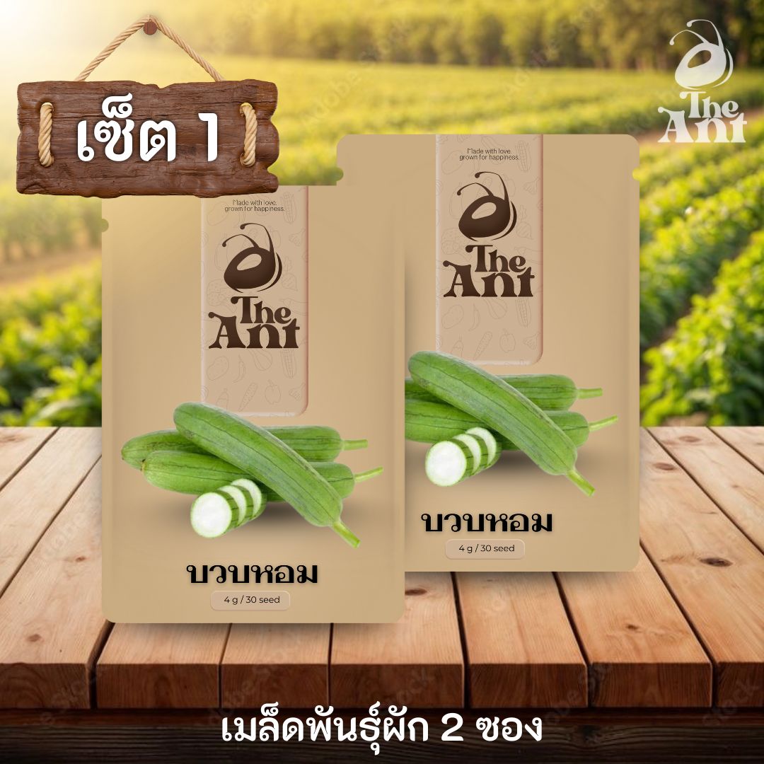 ( ซื้อ 1 แถม 1 ) เมล็ดพันธุ์บวบหอม