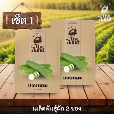 ( ซื้อ 1 แถม 1 ) เมล็ดพันธุ์บวบหอม