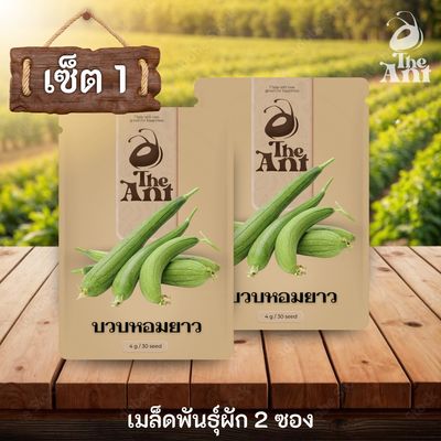( ซื้อ 1 แถม 1 ) เมล็ดพันธุ์บวบหอมยาว