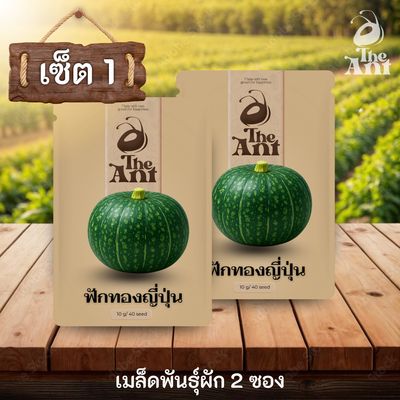 ( ซื้อ 1 แถม 1 ) เมล็ดพันธุ์ฟักทองญี่ปุ่น