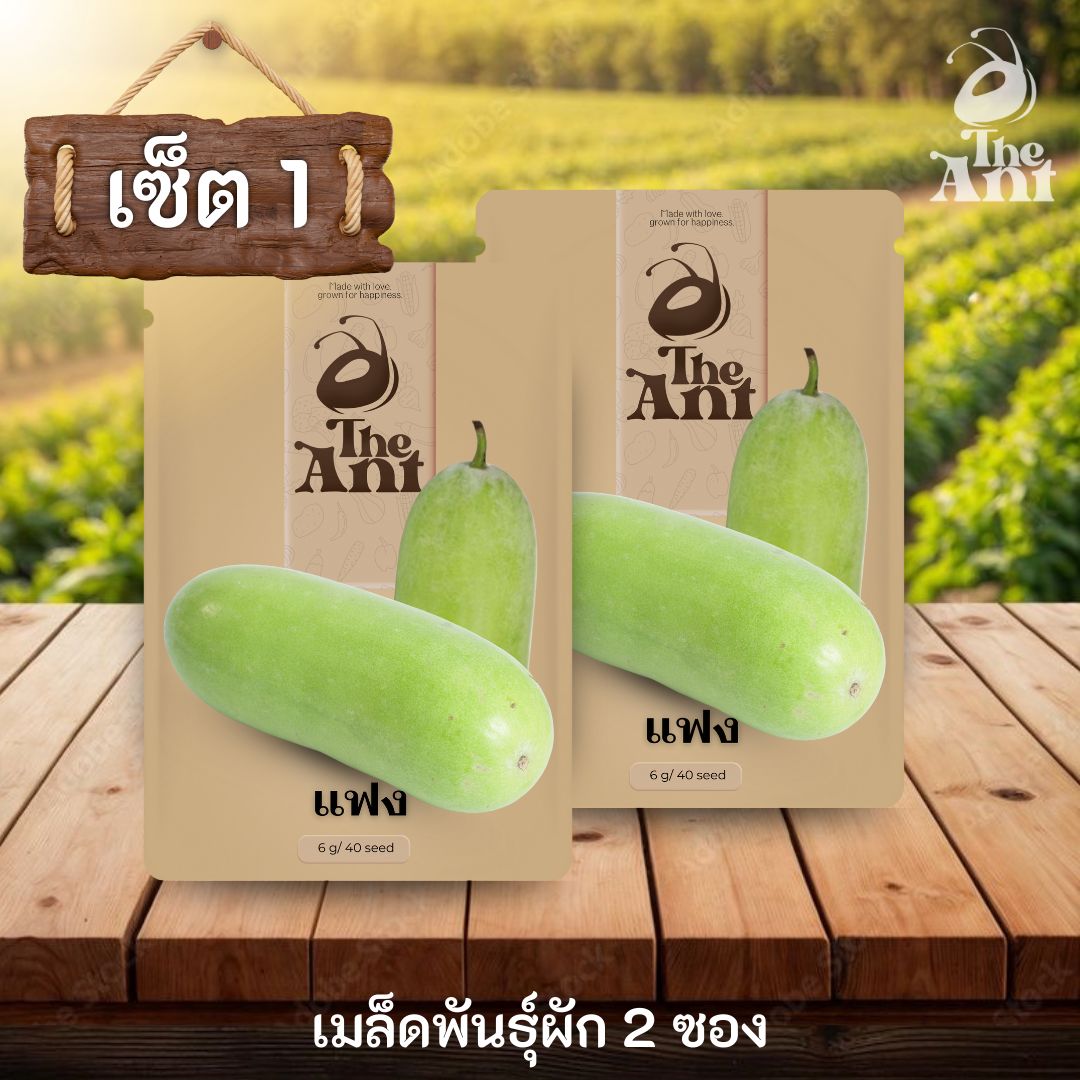 ( ซื้อ 1 แถม 1 ) เมล็ดพันธุ์แฟง