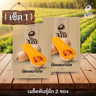 ( ซื้อ 1 แถม 1 ) เมล็ดพันธุ์บัตเตอร์นัท
