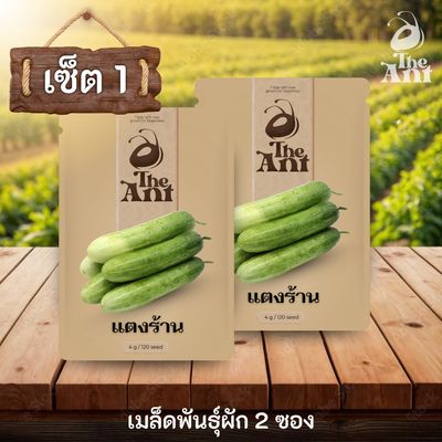 ( ซื้อ 1 แถม 1 ) เมล็ดพันธุ์แตงร้าน