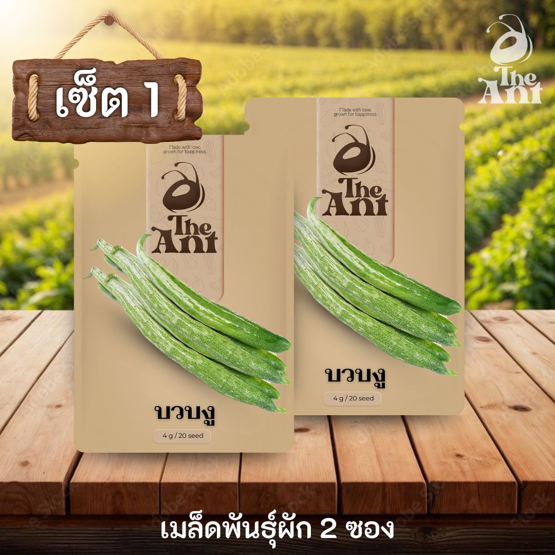 ( ซื้อ 1 แถม 1 ) เมล็ดพันธุ์บวบงู
