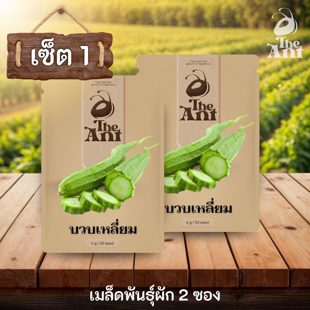 ( ซื้อ 1 แถม 1 ) เมล็ดพันธุ์บวบเหลี่ยม