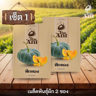 ( ซื้อ 1 แถม 1 ) เมล็ดพันธุ์ฟักทอง