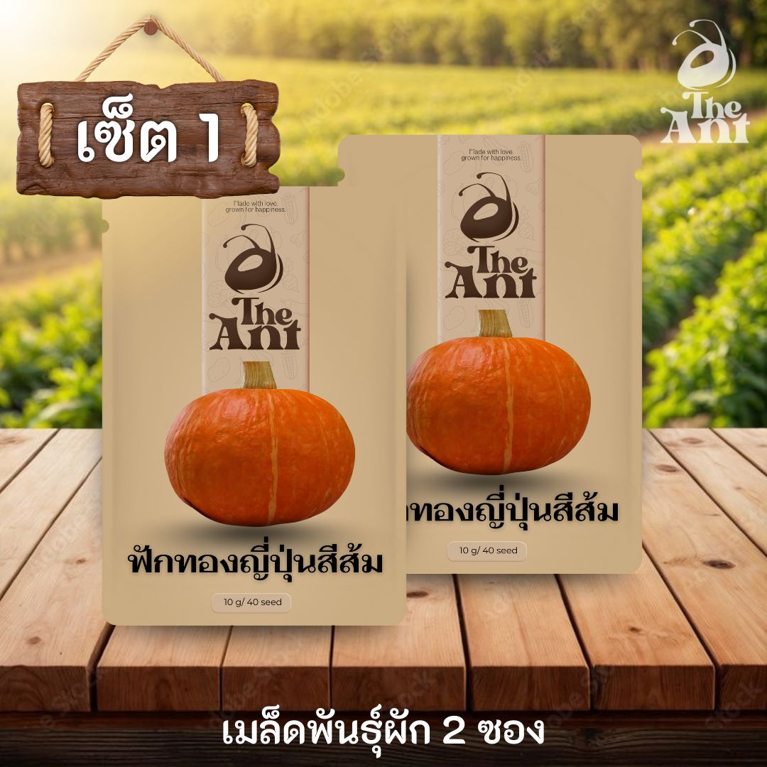 ( ซื้อ 1 แถม 1 ) เมล็ดพันธุ์ฟักทองญี่ปุ่นสีส้ม