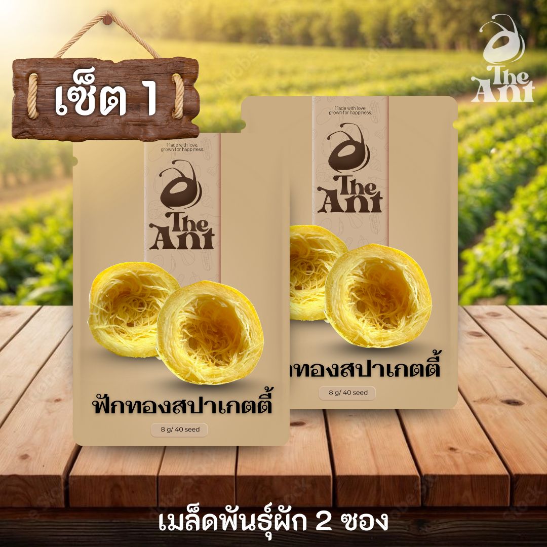 ( ซื้อ 1 แถม 1 ) เมล็ดพันธุ์ฟักทองสปาเกตตี้