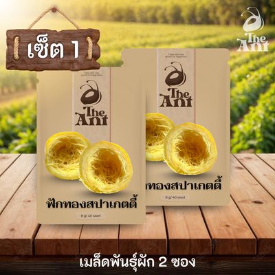 ( ซื้อ 1 แถม 1 ) เมล็ดพันธุ์ฟักทองสปาเกตตี้
