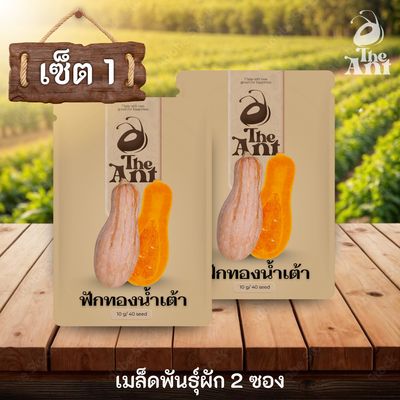 ( ซื้อ 1 แถม 1 ) เมล็ดพันธุ์ฟักทองน้ำเต้า