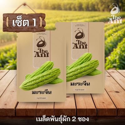 ( ซื้อ 1 แถม 1 ) เมล็ดพันธุ์มะระจีน
