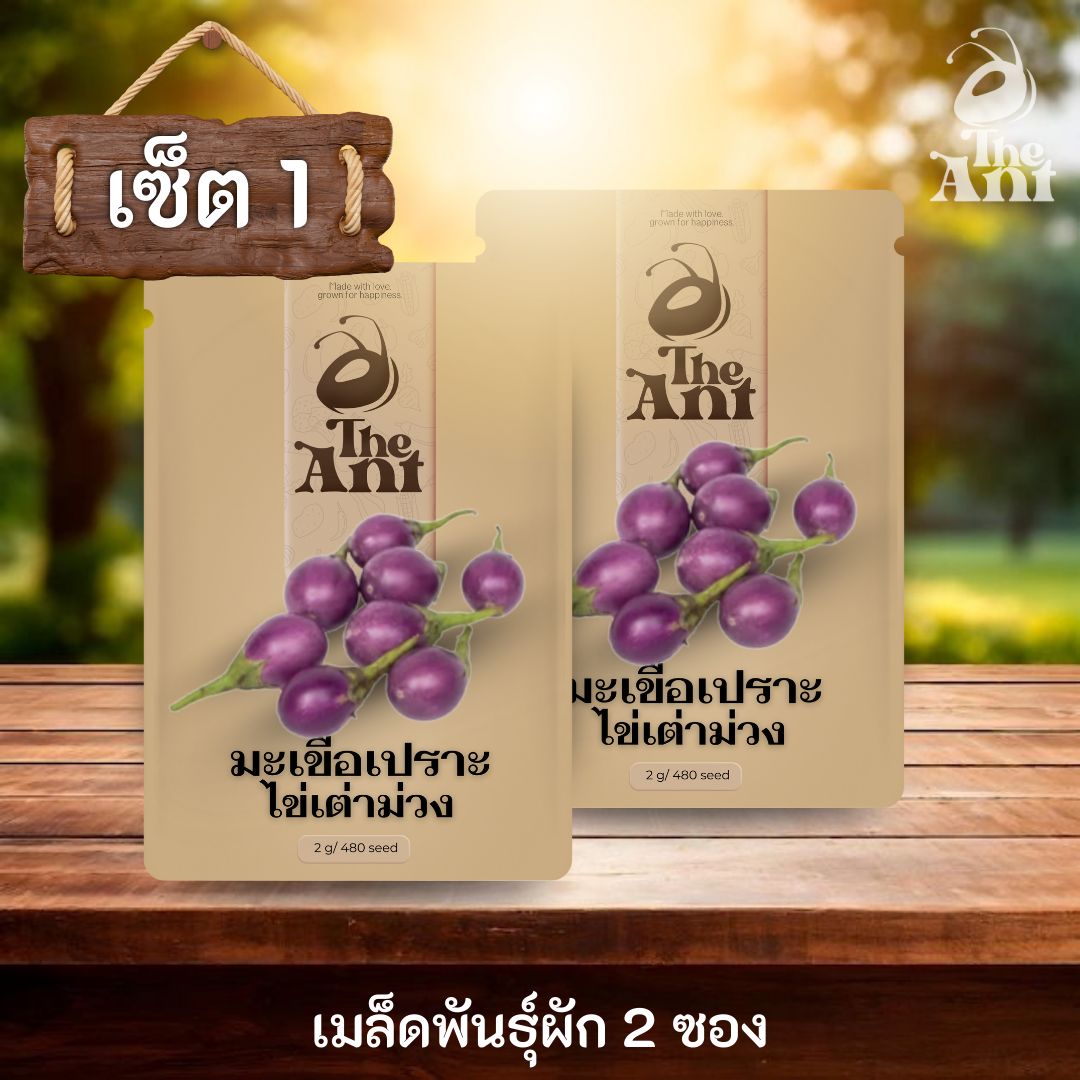 ( ซื้อ 1 แถม 1 ) เมล็ดพันธุ์มะเขือเปราะไข่เต่าม่วง